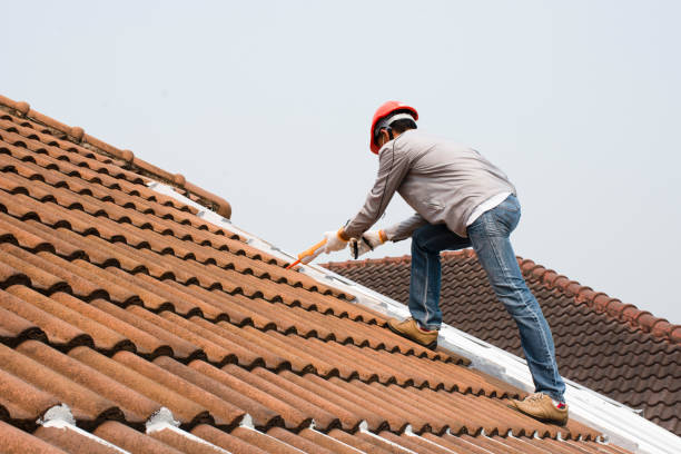 Best Roof Moss and Algae Removal  in Sandersville, GA