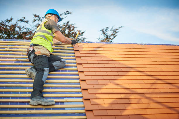 Best Skylight Installation and Repair  in Sandersville, GA